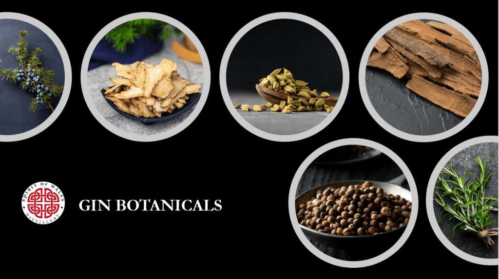 Welsh Dry Gin botanicals - Juniper, rosemary, orris root, fennel seed