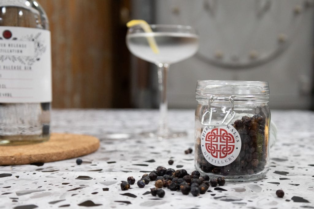 Spirit of Wales Distillery Limited Release gin used to make cocktails this World Martini Day