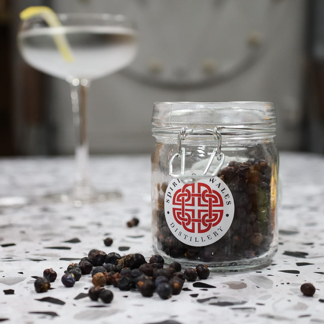 Spirit of Wales Distillery - World Gin Day