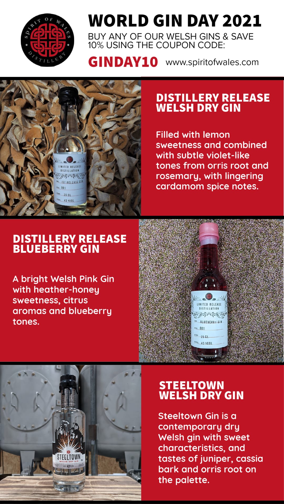 Infographic - World Gin Day Deals from the Spirit of Wales Distillery