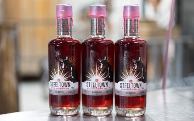 Blueberry Welsh Gin launched by Spirit of Wales Distillery