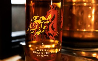 Experience the Spirit of Wales this St. David’s Day