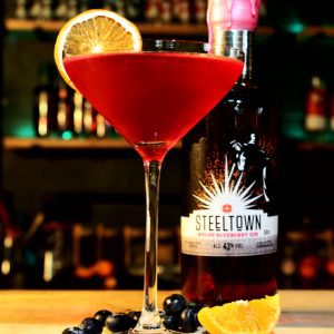 Spirit of Wales_Cocktail masterclass_Steeltown Blueberry Gin